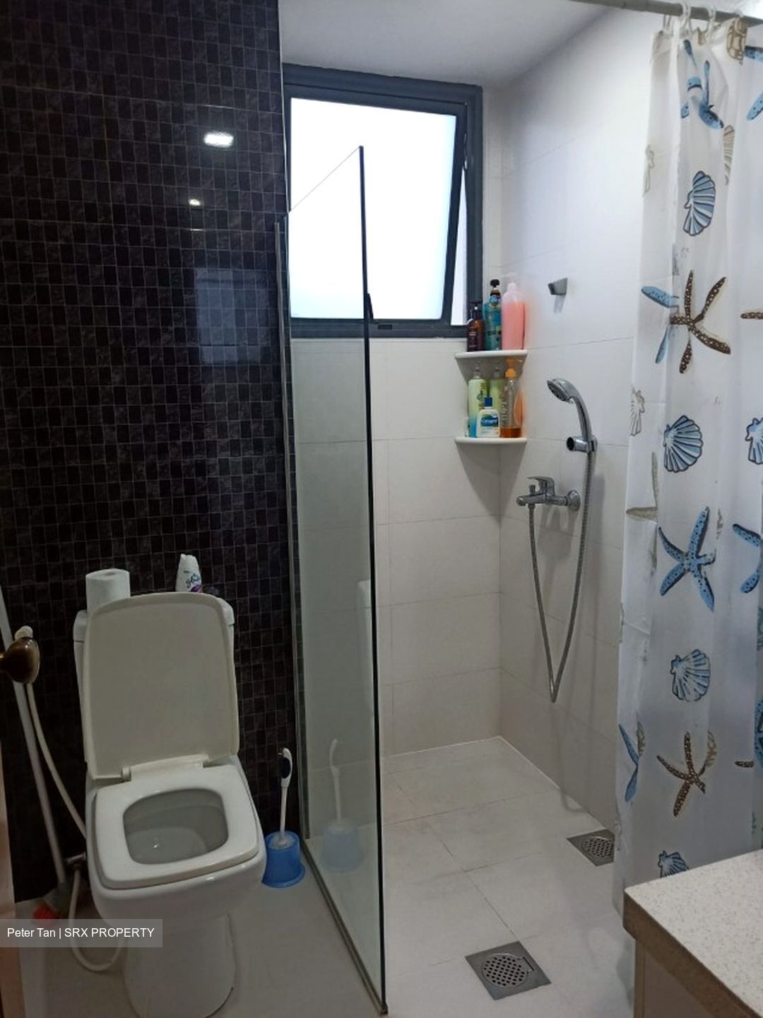Carissa Park Condominium (D17), Condominium #317354951